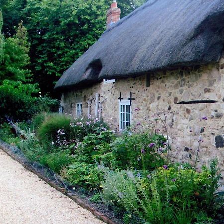 Afton Thatch: Beautiful Thatched Family Cottage فريشووتر المظهر الخارجي الصورة