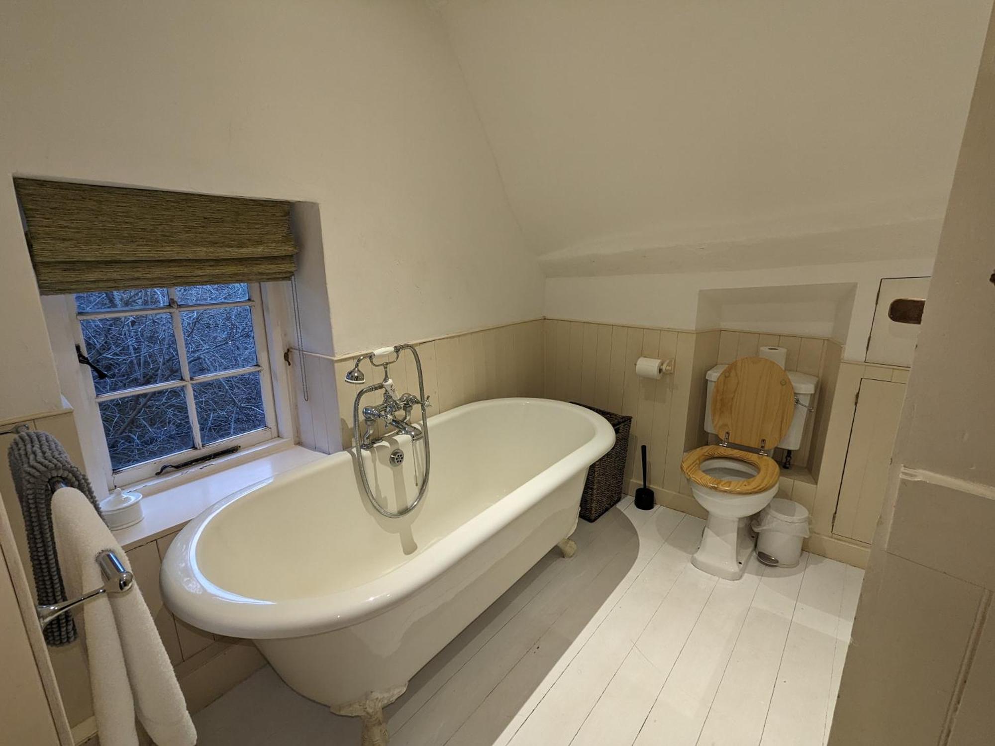 Afton Thatch: Beautiful Thatched Family Cottage فريشووتر المظهر الخارجي الصورة